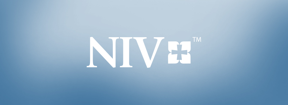 NIV Study Bibles for sale