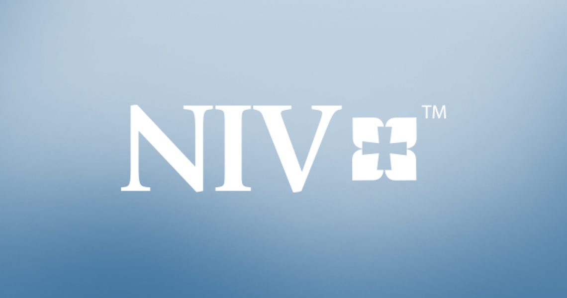 NIV Study Bibles for sale